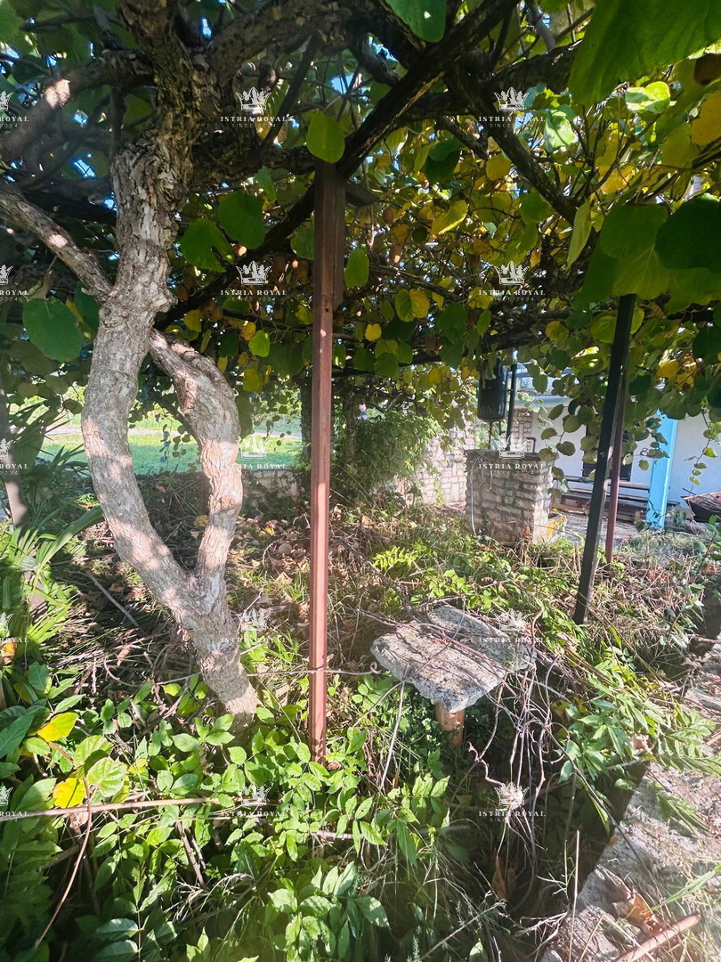 Hiša z razgledom na morje na območju Istre – 170 m² bivalne površine na 665 m² zemljišča | Cena: 250.000 €